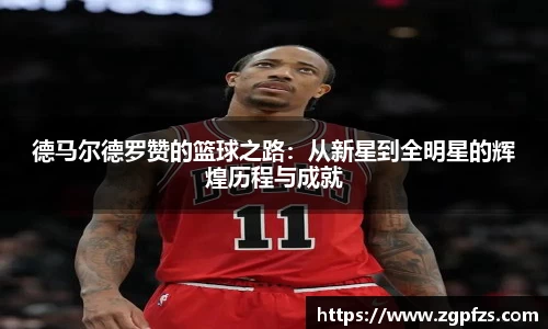 星空综合(中国)官方网站